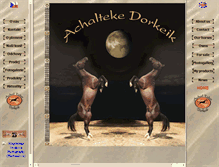 Tablet Screenshot of akhaltekin.com